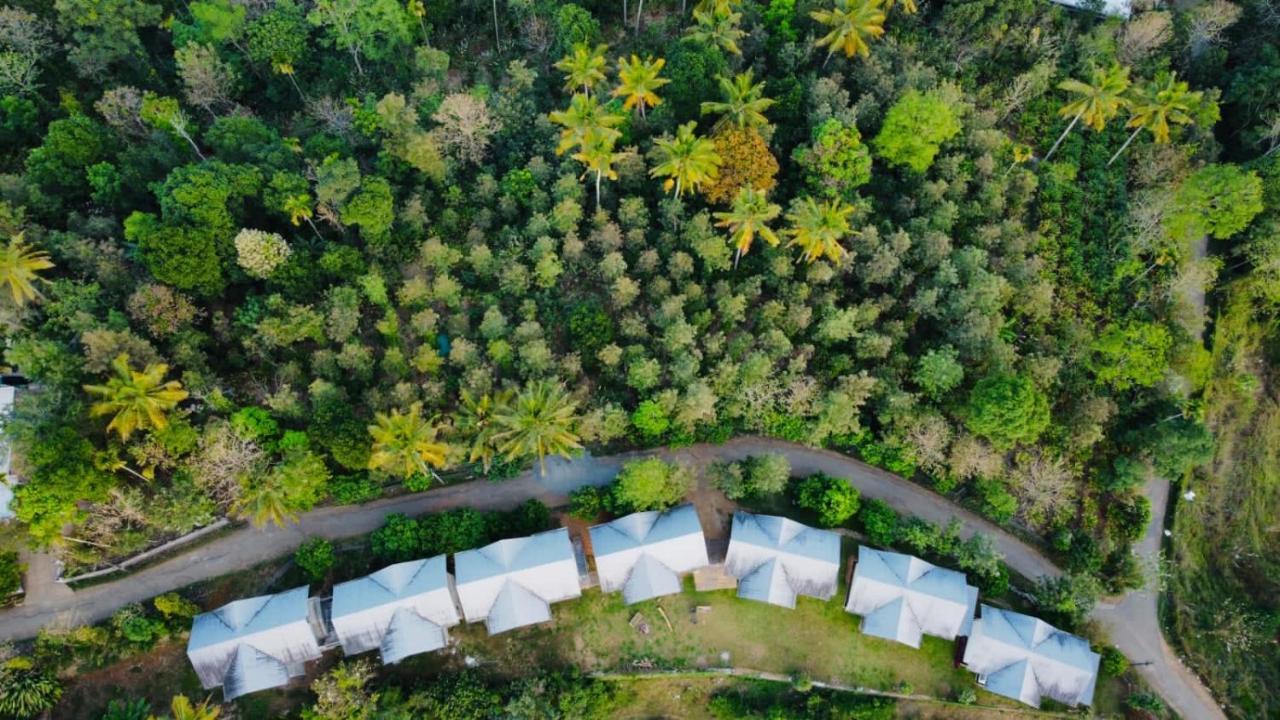 Mannoor Farms Mountain View Stays, Munnar Exterior photo